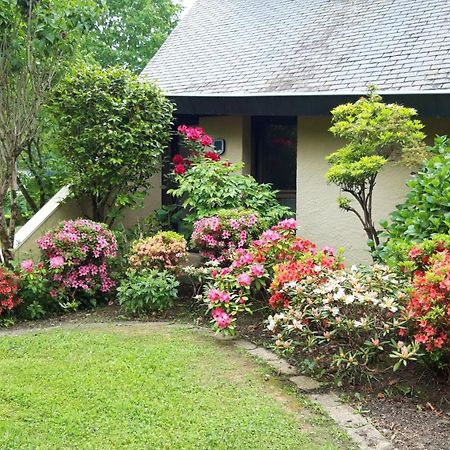 Jardin Des Chats Sévignacq-Meyracq Kültér fotó