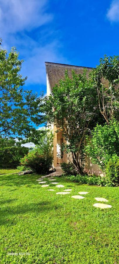 Jardin Des Chats Sévignacq-Meyracq Kültér fotó