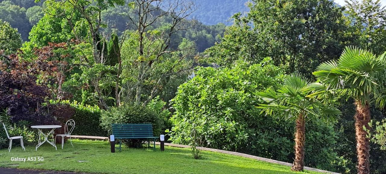 Jardin Des Chats Sévignacq-Meyracq Kültér fotó